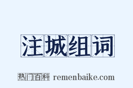 注城组词是什么意思的图片